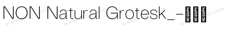 NON Natural Grotesk_字体转换